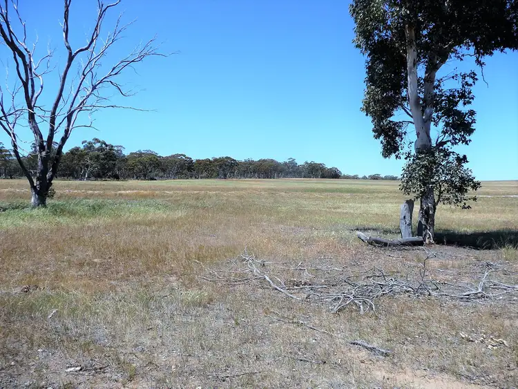 Sixth view of Homely rural property listing, 586 Kokeby East Road, Bally Bally WA 6304