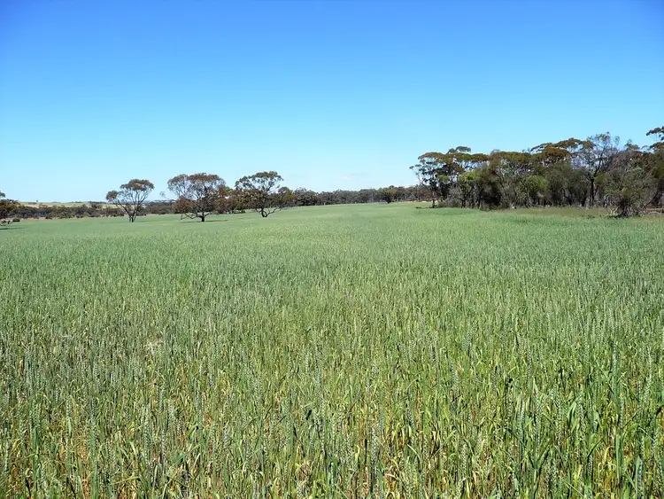 Seventh view of Homely rural property listing, 586 Kokeby East Road, Bally Bally WA 6304