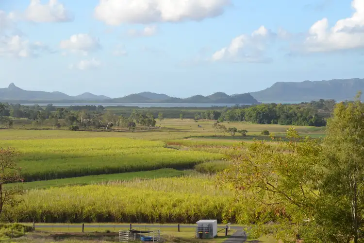 219 Olletts Road, Habana QLD 4740