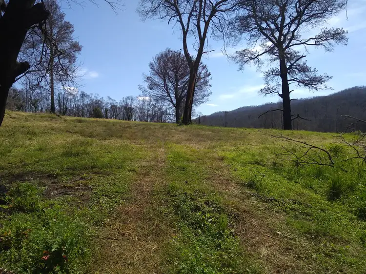 Main view of Homely land listing, Lots 1 & 2 Byrnes Street, Nerrigundah NSW 2545
