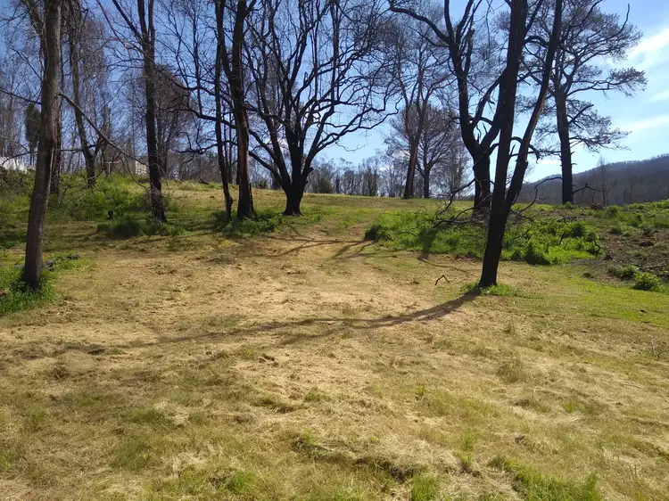 Second view of Homely land listing, Lots 1 & 2 Byrnes Street, Nerrigundah NSW 2545