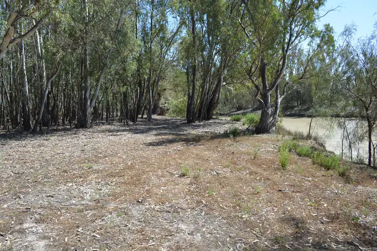 Fourth view of Homely rural property listing, 9 Cudmore Road, Wentworth NSW 2648