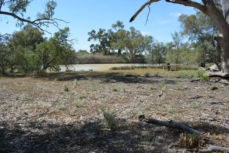 Fifth view of Homely rural property listing, 9 Cudmore Road, Wentworth NSW 2648