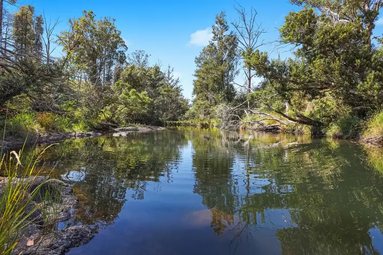 Third view of Homely rural property listing, 11 Roach Road, Pappinbarra NSW 2446
