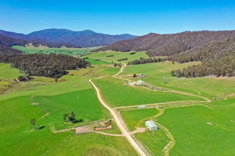 Main view of Homely rural property listing, 939 Callaghan Creek Road, Mitta Mitta VIC 3701