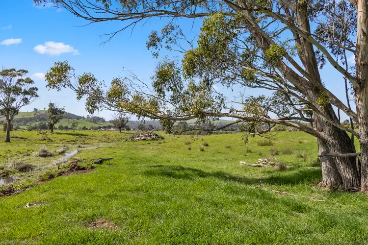 Fifth view of Homely land listing, 68 Charles Street, Triabunna TAS 7190