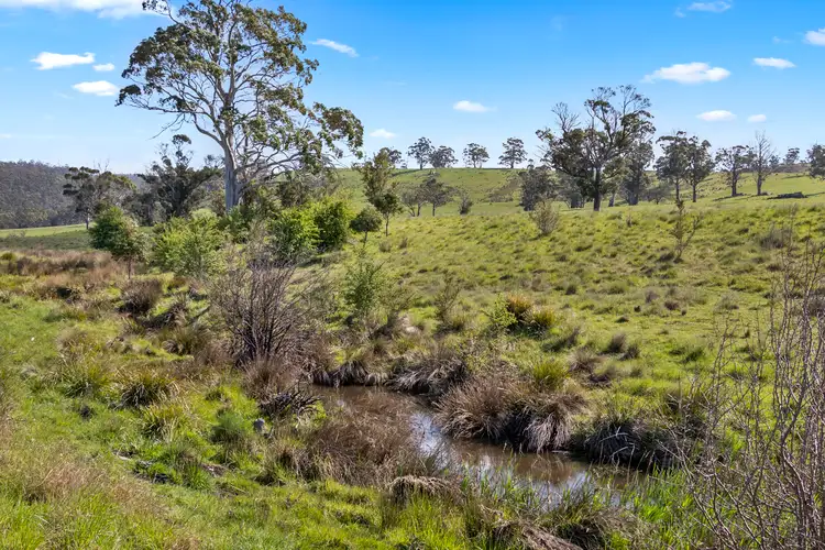 Sixth view of Homely land listing, 68 Charles Street, Triabunna TAS 7190