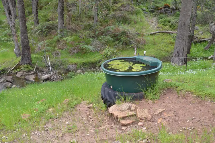 Fourth view of Homely rural property listing, 971 Charley Creek Road, Thomson Brook WA 6239