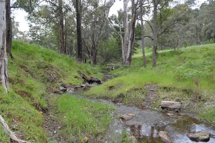 Fifth view of Homely rural property listing, 971 Charley Creek Road, Thomson Brook WA 6239