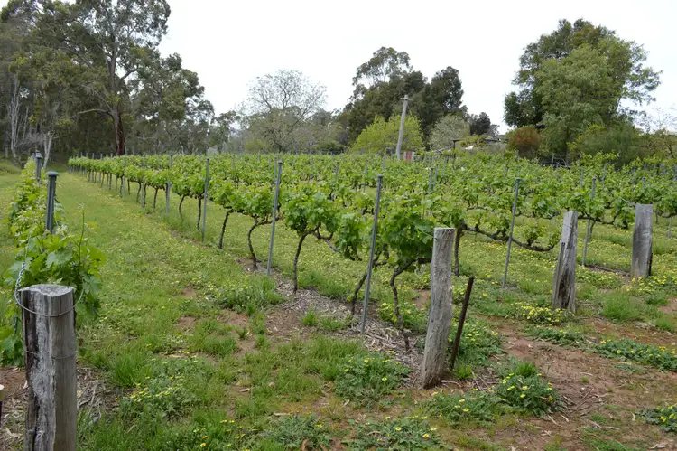 Seventh view of Homely rural property listing, 971 Charley Creek Road, Thomson Brook WA 6239