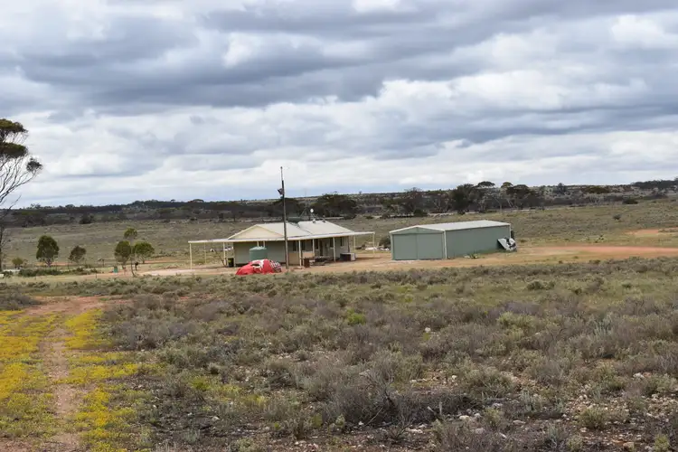 Third view of Homely rural property listing, 849 Robertson Road, Sedan SA 5353
