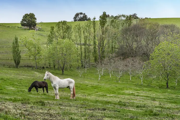 Seventh view of Homely house listing, 15 Avard Road, Emerald VIC 3782