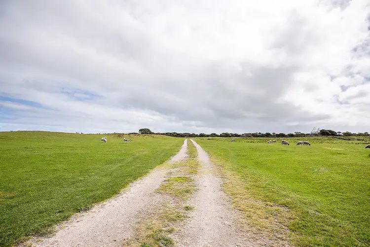 Fifth view of Homely rural property listing, 8099 Southern Ports Highway, Beachport SA 5280