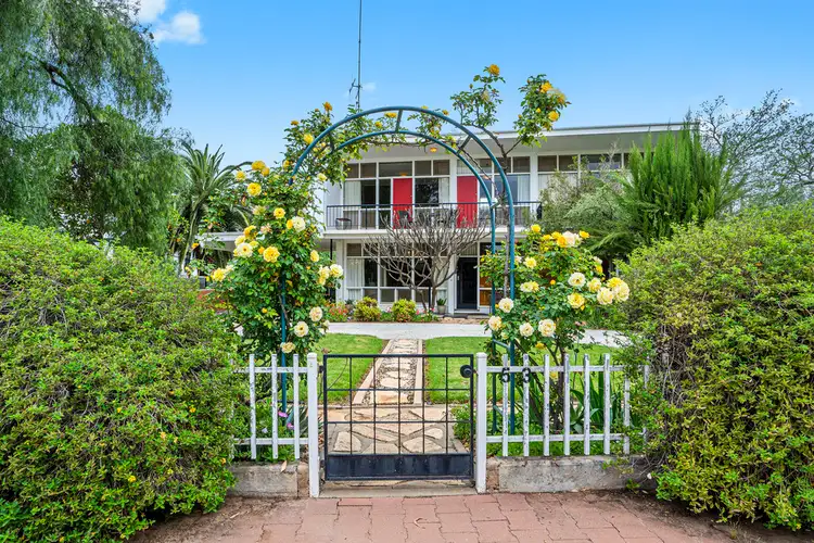 53 Murray Avenue, Renmark SA 5341