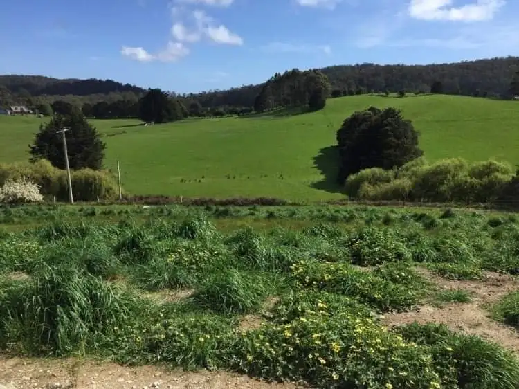 Third view of Homely land listing, Address available on request