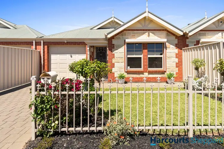 16 Napier Street, Renown Park SA 5008