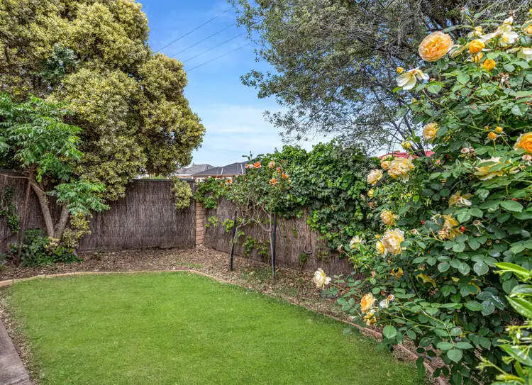 Fifth view of Homely unit listing, 1-9 Third Avenue, Ascot Park SA 5043