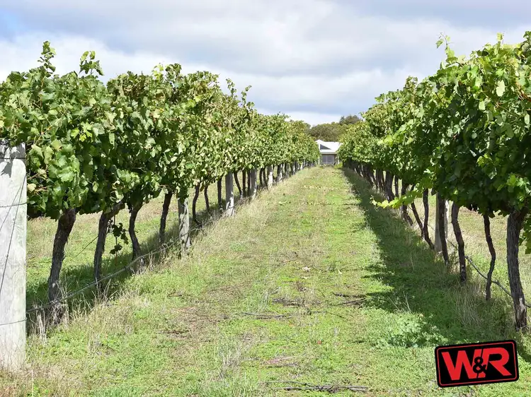 Second view of Homely rural property listing, 801 Hay River Road, Mount Barker WA 6324