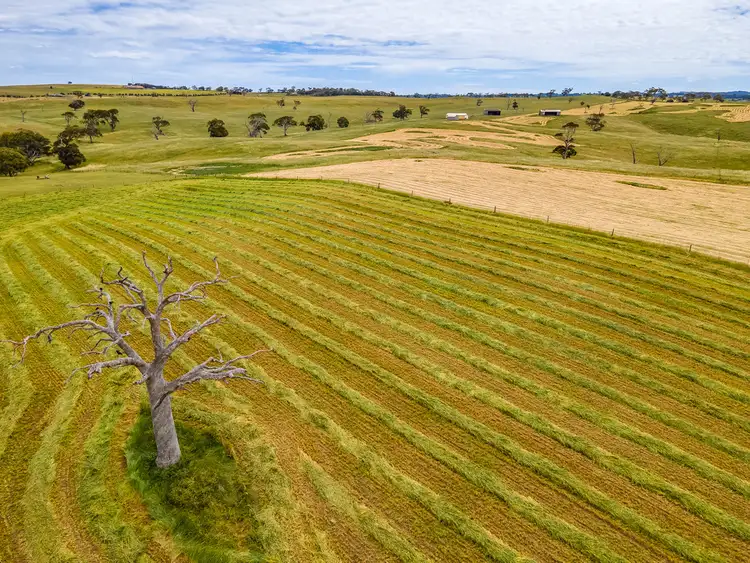 Fourth view of Homely rural property listing, A1 Ashbourne Road, Strathalbyn SA 5255