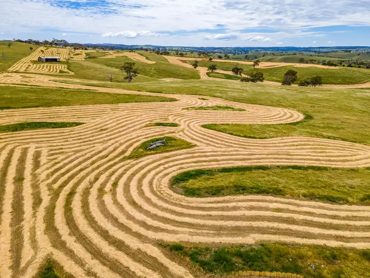 Fifth view of Homely rural property listing, A1 Ashbourne Road, Strathalbyn SA 5255