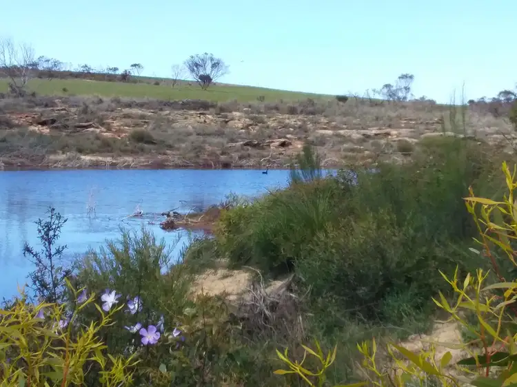 Main view of Homely land listing, 94 Long Pool Road, Hopetoun WA 6348