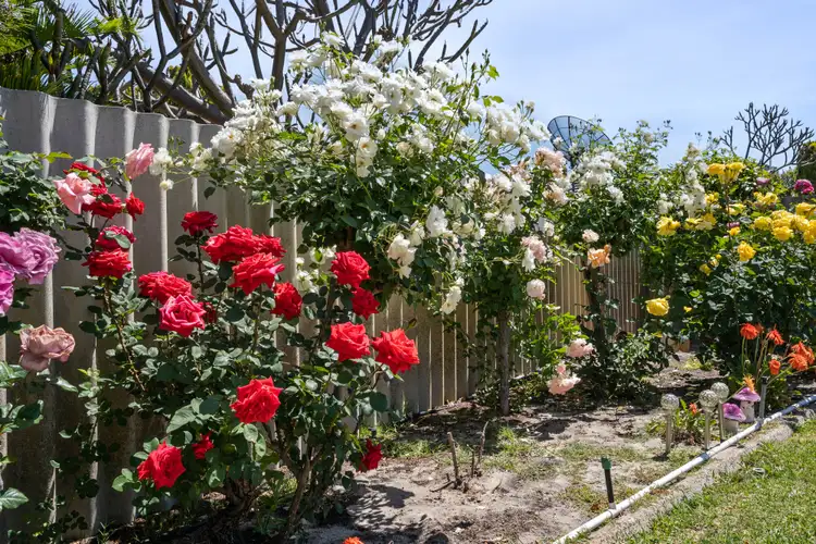 Fourth view of Homely house listing, 2b Connell Street, Belmont WA 6104