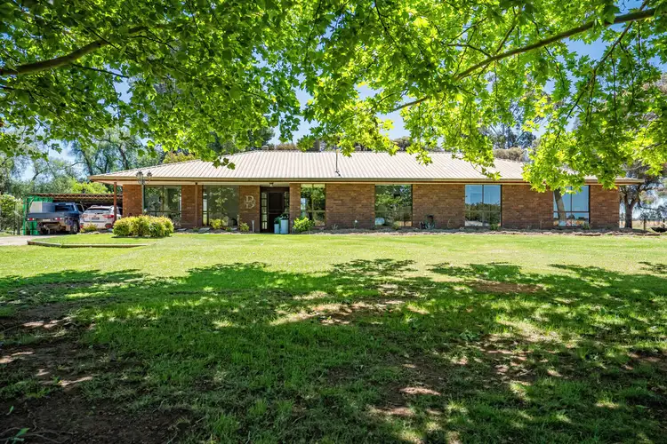 623 LOGIE BRAE ROAD, Finley NSW 2713