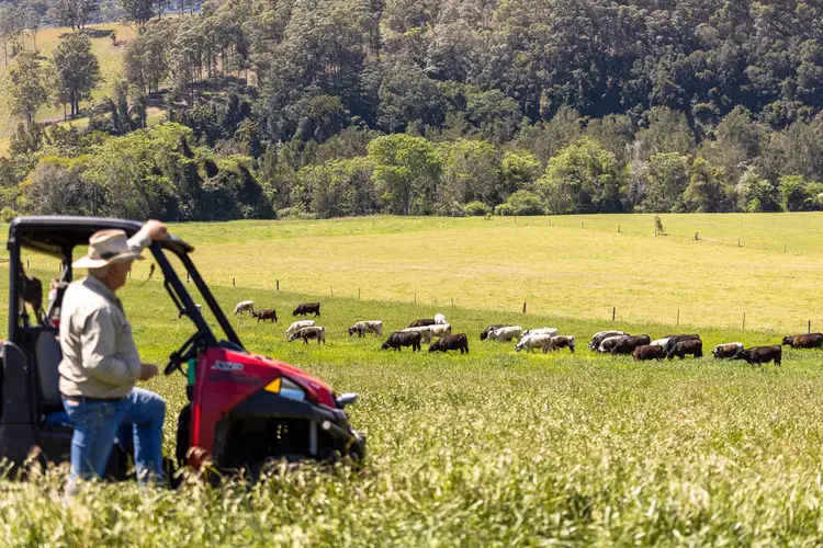 Second view of Homely rural property listing, 52 Churchills Road, Long Flat NSW 2446