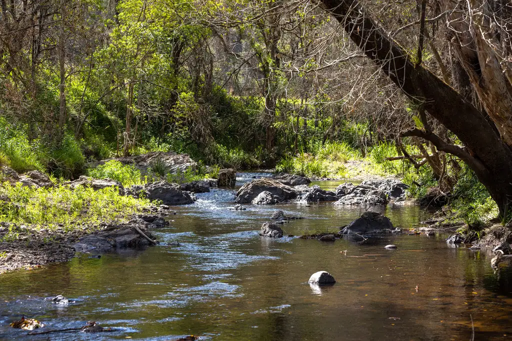 Main view of Homely rural property listing, 642 Caparra Road, Caparra NSW 2429