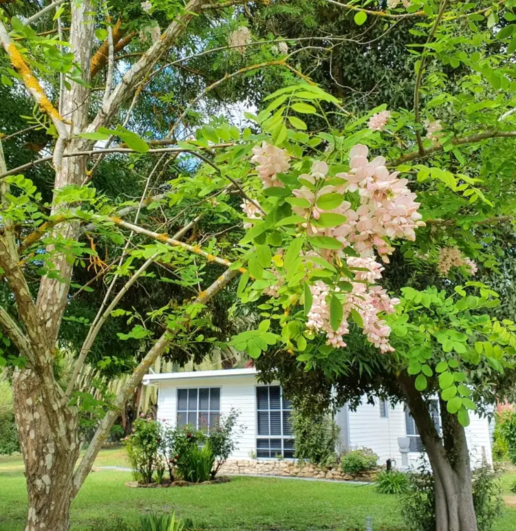 Third view of Homely house listing, 16 Splatt Street, Apsley VIC 3319