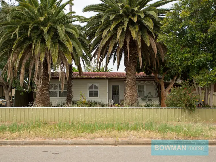 Main view of Homely house listing, 24 Scott Avenue, Clovelly Park SA 5042