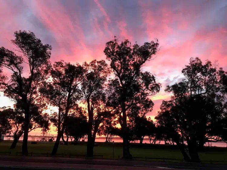 Fifth view of Homely house listing, 331 C Old Coast Road, Australind WA 6233