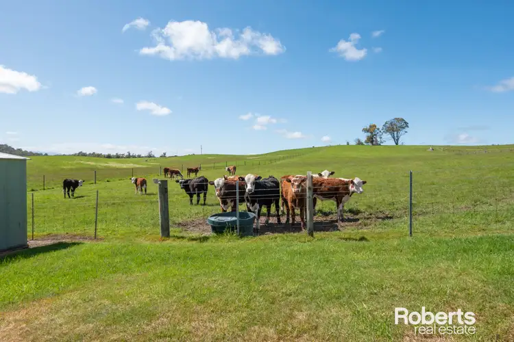 Third view of Homely house listing, 20 Stokes Lane, Bridgenorth TAS 7277