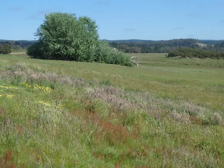 Second view of Homely rural property listing, Lot 5 Judds Road, Scarsdale VIC 3351