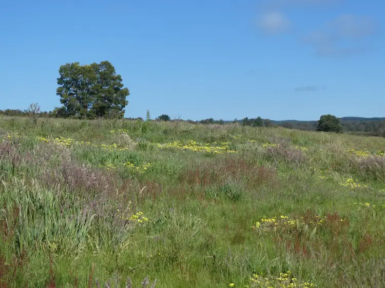 Third view of Homely rural property listing, Lot 5 Judds Road, Scarsdale VIC 3351