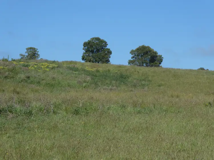 Fourth view of Homely rural property listing, Lot 5 Judds Road, Scarsdale VIC 3351