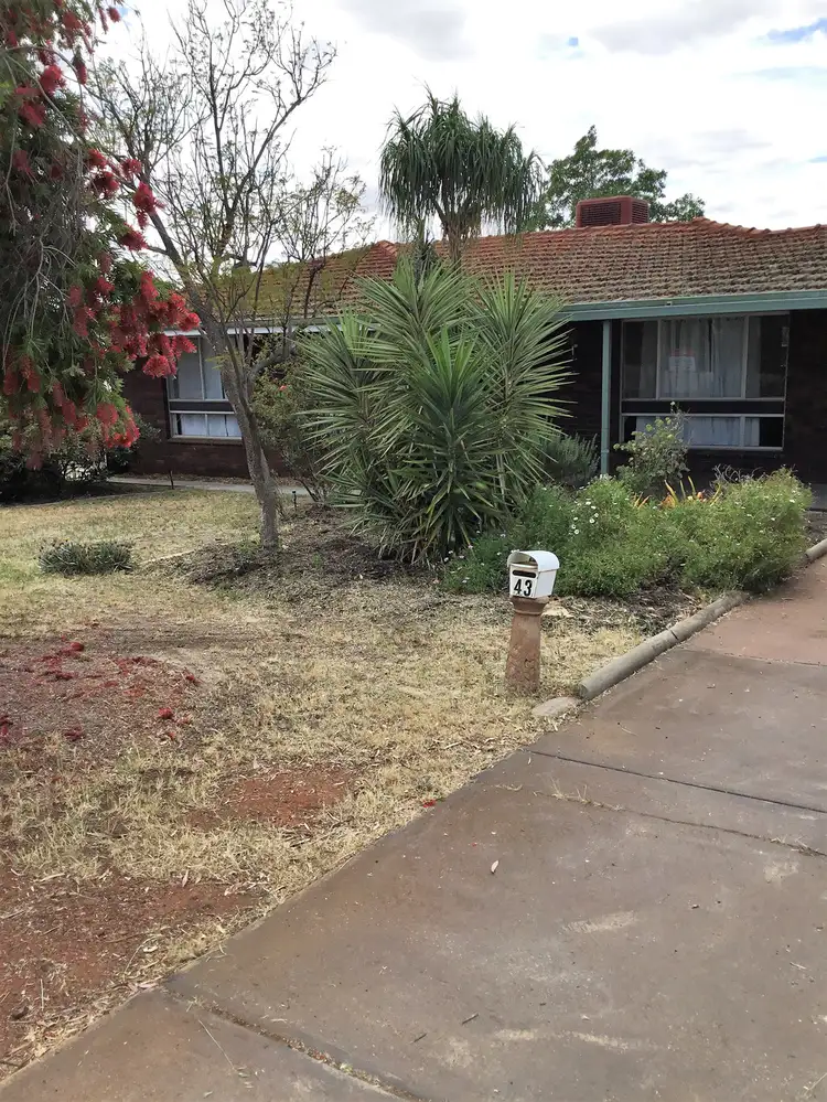 43 HABGOOD STREET