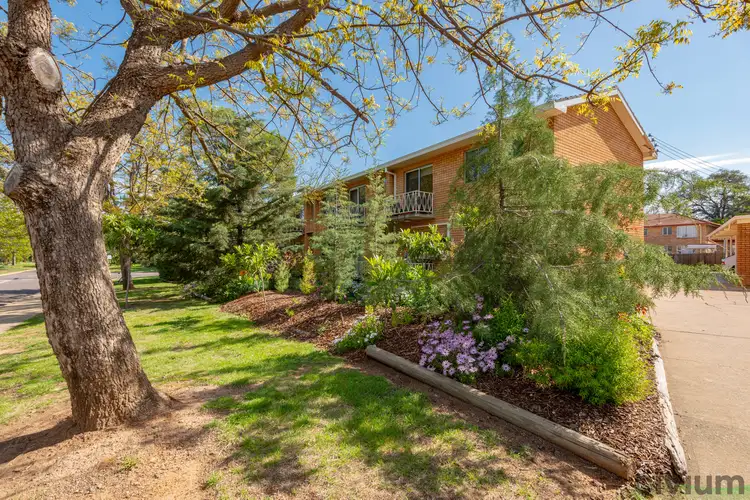 Second view of Homely unit listing, 6/39 Gardiner Street, Downer ACT 2602