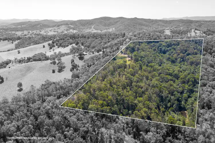 1097 Cooroy Belli Creek Road, Ridgewood QLD 4563