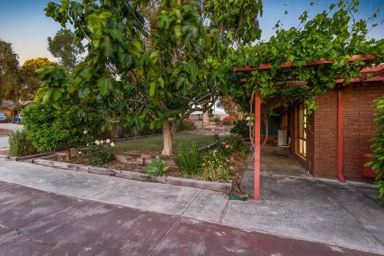 Fifth view of Homely house listing, 20 Gypsy Rise, Swan View WA 6056