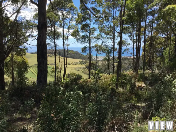 Sixth view of Homely land listing, Lot 2, 1 Mitchells Road, St Marys TAS 7215
