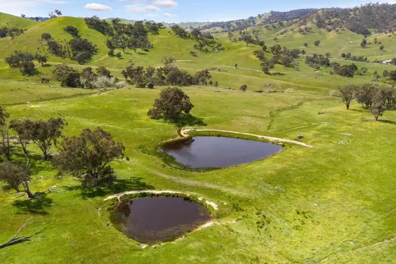 Main view of Homely rural property listing, 779 Spring Ck Road, Fawcett VIC 3714