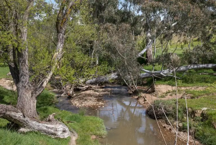 Second view of Homely rural property listing, 779 Spring Ck Road, Fawcett VIC 3714