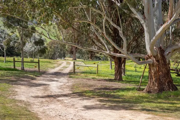 Fifth view of Homely rural property listing, 779 Spring Ck Road, Fawcett VIC 3714