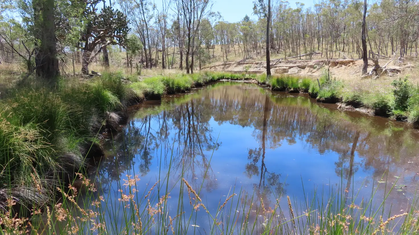 Main view of Homely land listing, LOT Lot 18 Reedy Creek Road, Thanes Creek QLD 4370