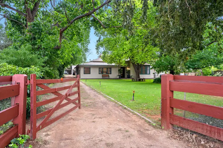 111 Twentyeighth Street, Renmark SA 5341