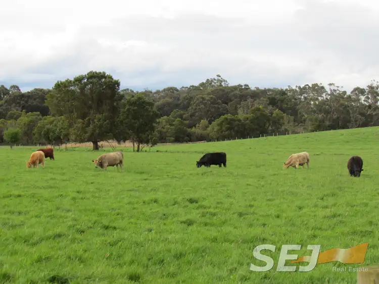 Fourth view of Homely rural property listing, 678 Yarragon-Shady Creek Road, Yarragon VIC 3823