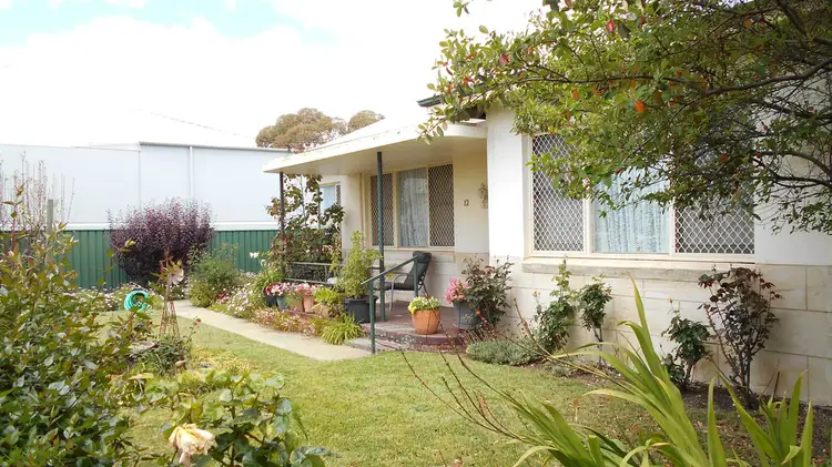 12 Austral Terrace, Katanning WA 6317