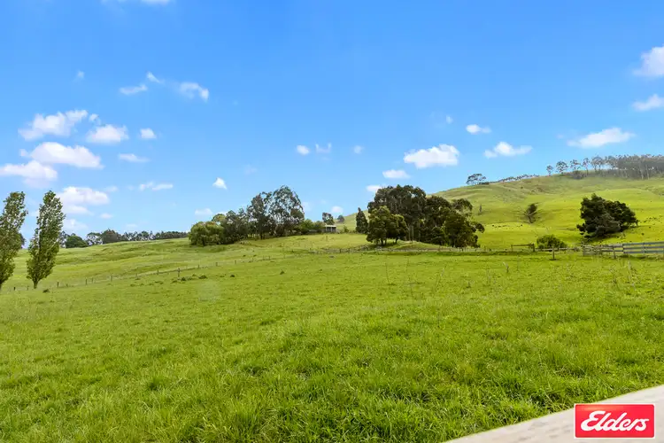 Third view of Homely rural property listing, 95 O'TOOLES ROAD, Wild Dog Valley VIC 3953