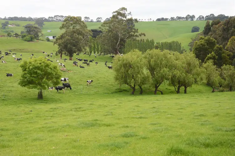 Fourth view of Homely rural property listing, 492 BENA-KONGWAK ROAD, Bena VIC 3946